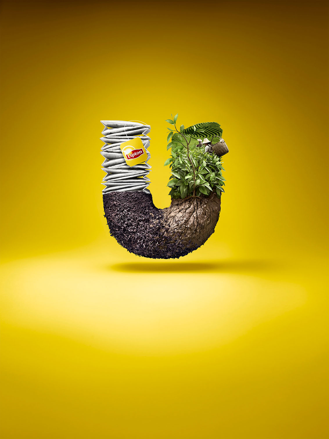 Unilever Lipton Tea